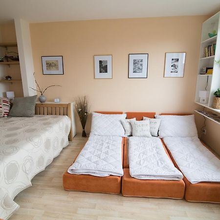 Apartman Labe Ústí nad Labem Esterno foto