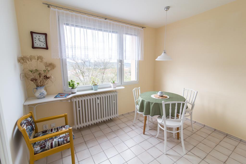 Apartman Labe Ústí nad Labem Esterno foto
